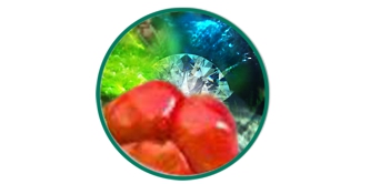 supplement-acerola-zinc